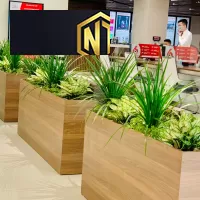 TỦ TÀI LIỆU CÓ BỒN CÂY XANH TẠO CẢM GIÁC TƯƠI MÁT